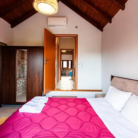 Seaside Dukes Paralio Astros