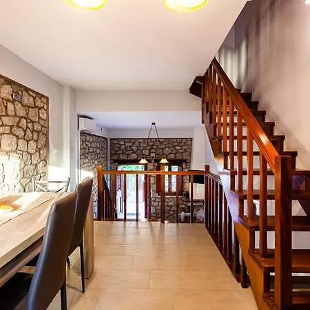 Seaside Dukes Paralio Astros